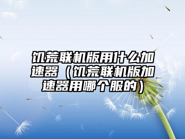 饥荒联机版用什么加速器（饥荒联机版加速器用哪个服的）