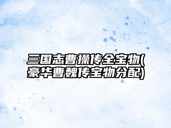 三国志曹操传全宝物(豪华曹魏传宝物分配)