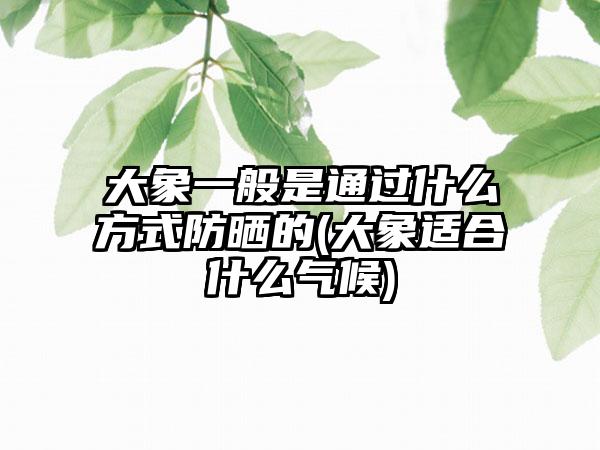 大象一般是通过什么方式防晒的(大象适合什么气候)