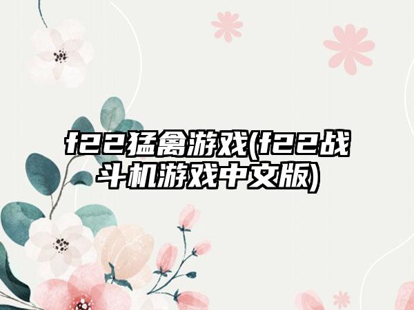 f22猛禽游戏(f22战斗机游戏中文版)