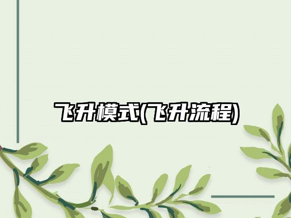 飞升模式(飞升流程)