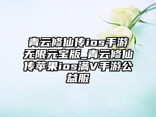 青云修仙传ios手游无限元宝版_青云修仙传苹果ios满V手游公益服