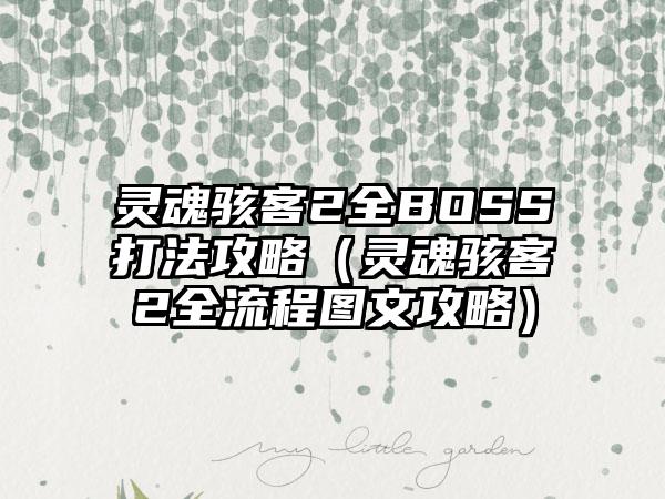 灵魂骇客2全BOSS打法攻略（灵魂骇客2全流程图文攻略）