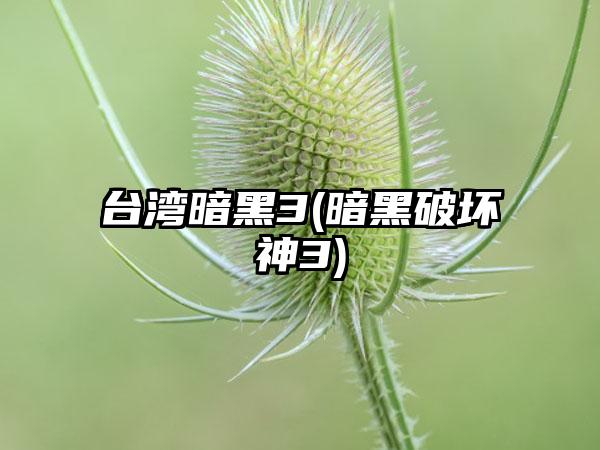 台湾暗黑3(暗黑破坏神3)