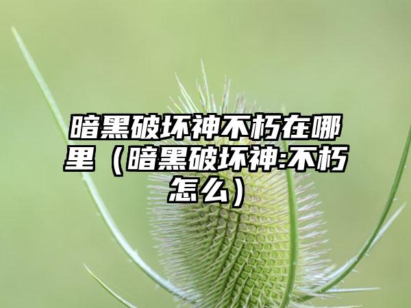 暗黑破坏神不朽在哪里（暗黑破坏神:不朽怎么）