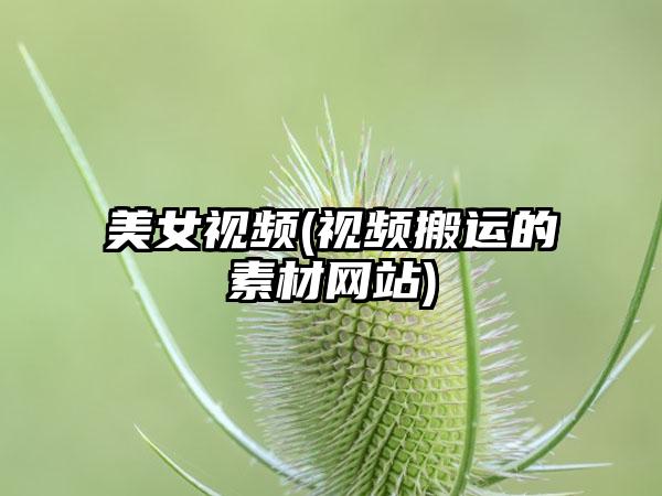 美女视频(视频搬运的素材网站)