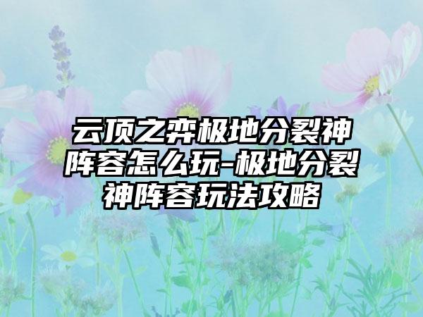 云顶之弈极地分裂神阵容怎么玩-极地分裂神阵容玩法攻略
