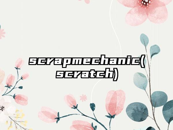 scrapmechanic(scratch)