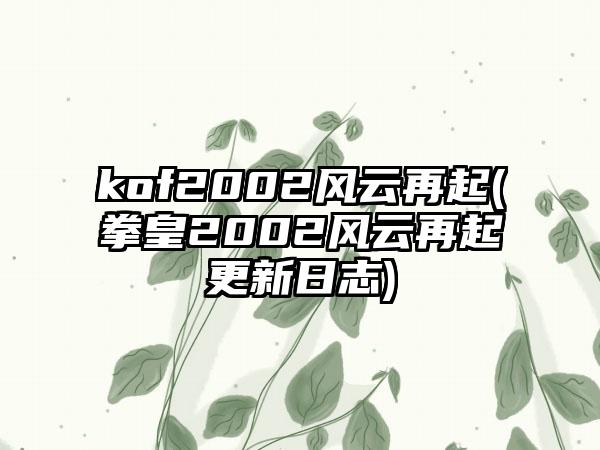 kof2002风云再起(拳皇2002风云再起更新日志)