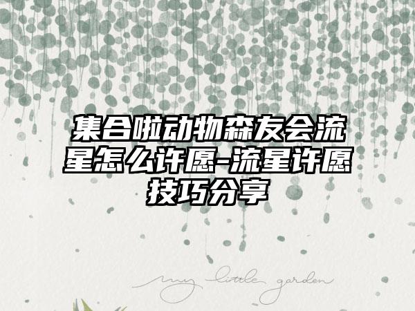 集合啦动物森友会流星怎么许愿-流星许愿技巧分享