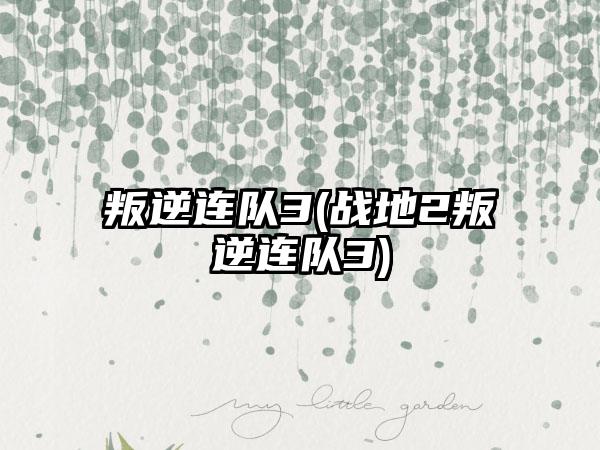 叛逆连队3(战地2叛逆连队3)