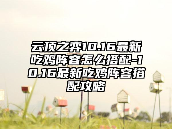 云顶之弈10.16最新吃鸡阵容怎么搭配-10.16最新吃鸡阵容搭配攻略