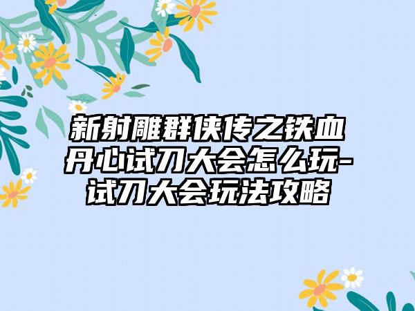 新射雕群侠传之铁血丹心试刀大会怎么玩-试刀大会玩法攻略
