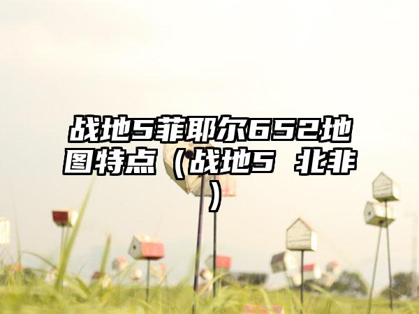 战地5菲耶尔652地图特点（战地5 北非）