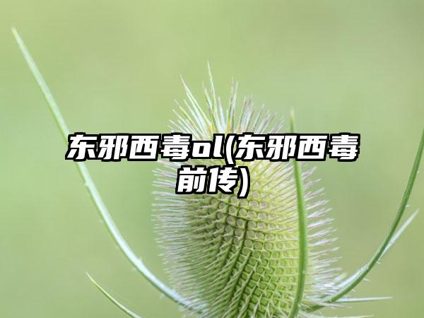 东邪西毒ol(东邪西毒前传)
