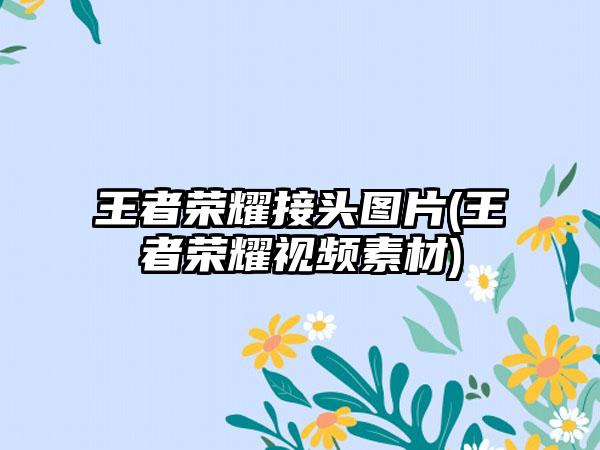 王者荣耀接头图片(王者荣耀视频素材)