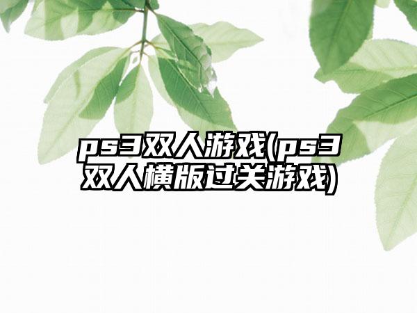 ps3双人游戏(ps3双人横版过关游戏)