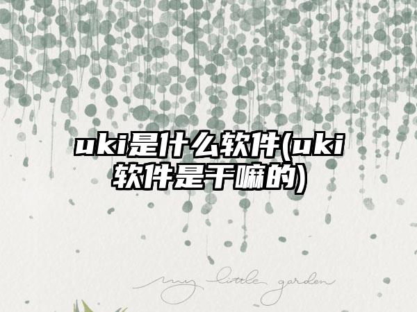 uki是什么软件(uki软件是干嘛的)