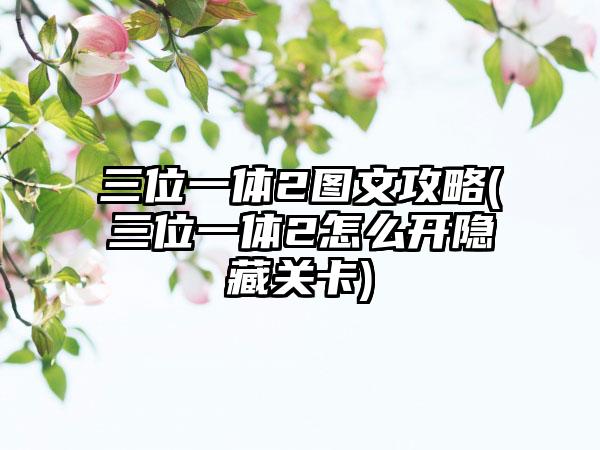 三位一体2图文攻略(三位一体2怎么开隐藏关卡)