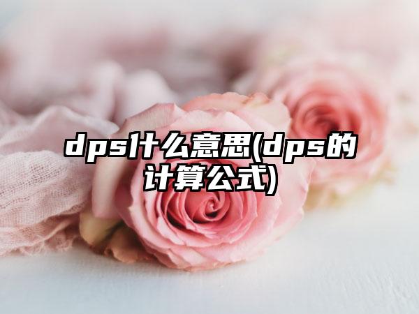 dps什么意思(dps的计算公式)