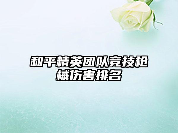 和平精英团队竞技枪械伤害排名