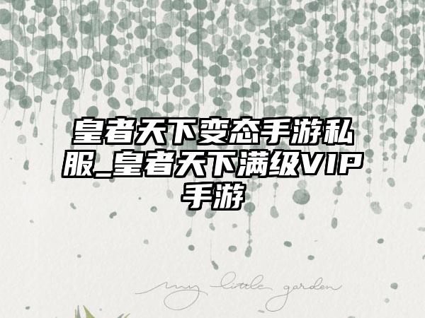 皇者天下变态手游私服_皇者天下满级VIP手游
