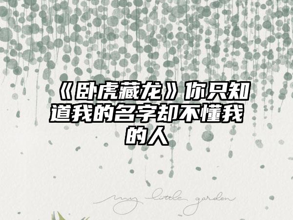 《卧虎藏龙》你只知道我的名字却不懂我的人