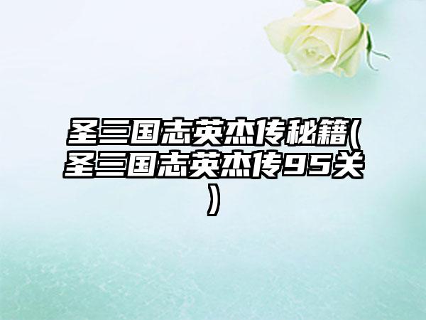 圣三国志英杰传秘籍(圣三国志英杰传95关)