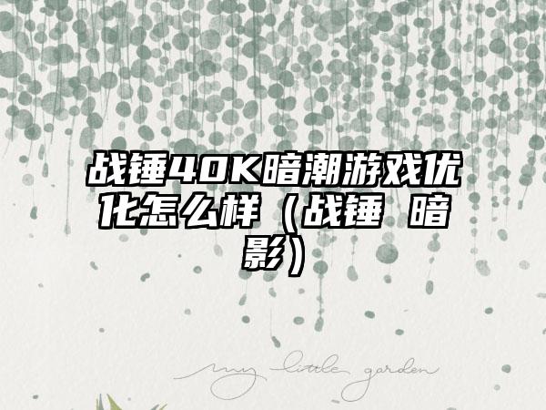 战锤40K暗潮游戏优化怎么样（战锤 暗影）