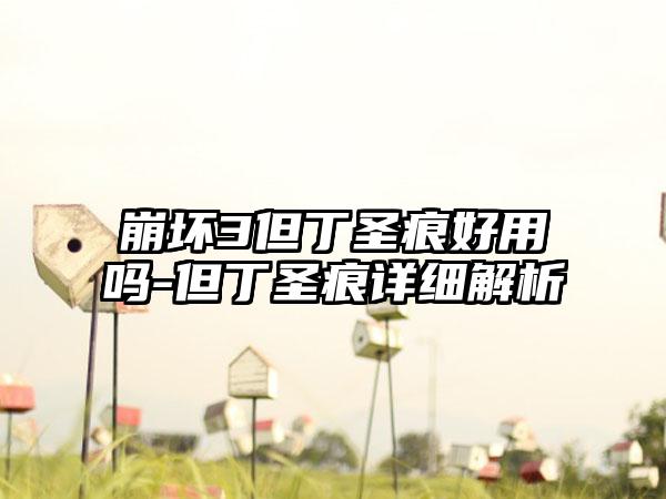 崩坏3但丁圣痕好用吗-但丁圣痕详细解析