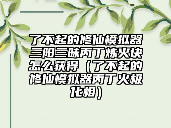 了不起的修仙模拟器三阳三昧丙丁炼火诀怎么获得（了不起的修仙模拟器丙丁火极化相）