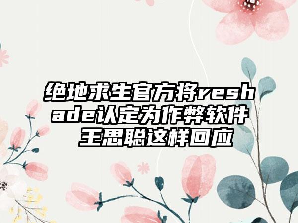 绝地求生官方将reshade认定为作弊软件 王思聪这样回应