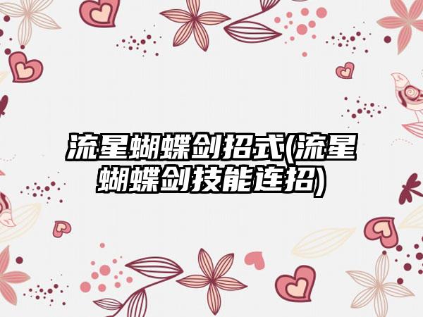 流星蝴蝶剑招式(流星蝴蝶剑技能连招)