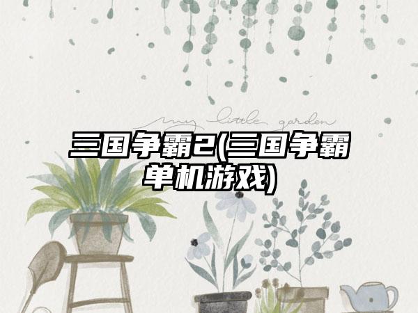 三国争霸2(三国争霸单机游戏)