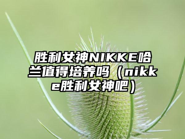 胜利女神NIKKE哈兰值得培养吗（nikke胜利女神吧）