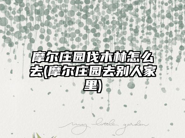 摩尔庄园伐木林怎么去(摩尔庄园去别人家里)