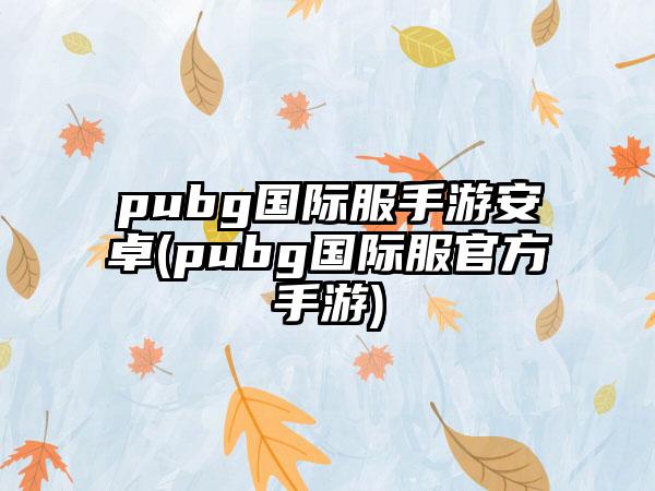 pubg国际服手游安卓(pubg国际服官方手游)