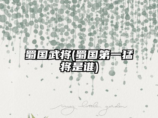 蜀国武将(蜀国第一猛将是谁)