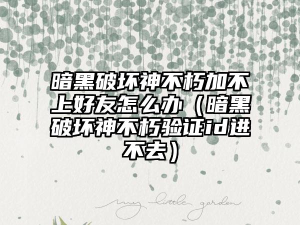 暗黑破坏神不朽加不上好友怎么办（暗黑破坏神不朽验证id进不去）