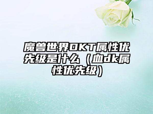魔兽世界DKT属性优先级是什么（血dk属性优先级）