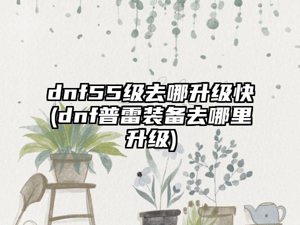 dnf55级去哪升级快(dnf普雷装备去哪里升级)
