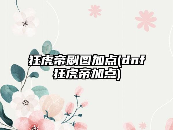 狂虎帝刷图加点(dnf狂虎帝加点)