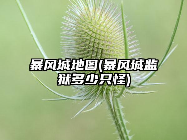 暴风城地图(暴风城监狱多少只怪)