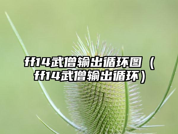 ff14武僧输出循环图（ff14武僧输出循环）