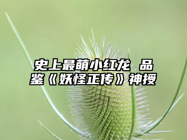 史上最萌小红龙 品鉴《妖怪正传》神授