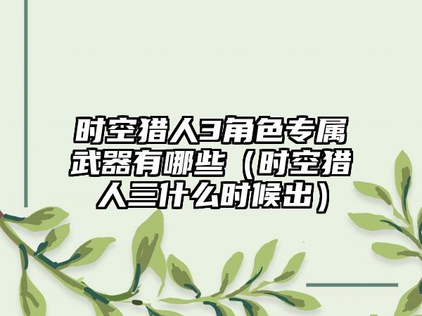 时空猎人3角色专属武器有哪些（时空猎人三什么时候出）