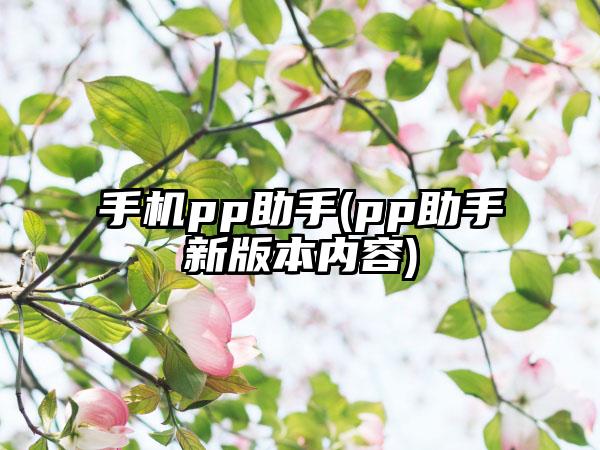手机pp助手(pp助手新版本内容)