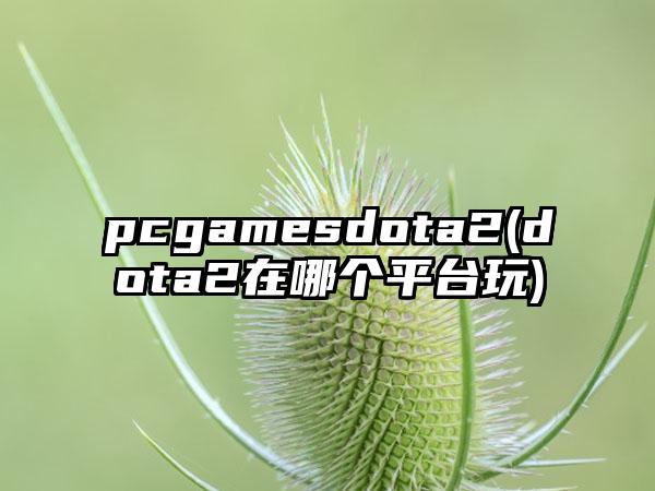 pcgamesdota2(dota2在哪个平台玩)