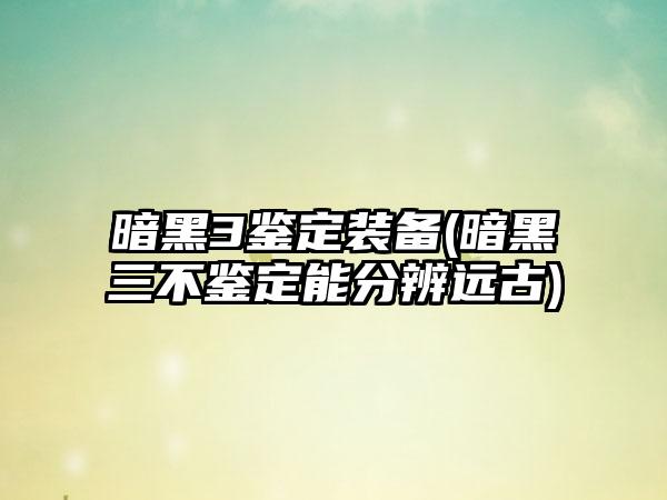 暗黑3鉴定装备(暗黑三不鉴定能分辨远古)