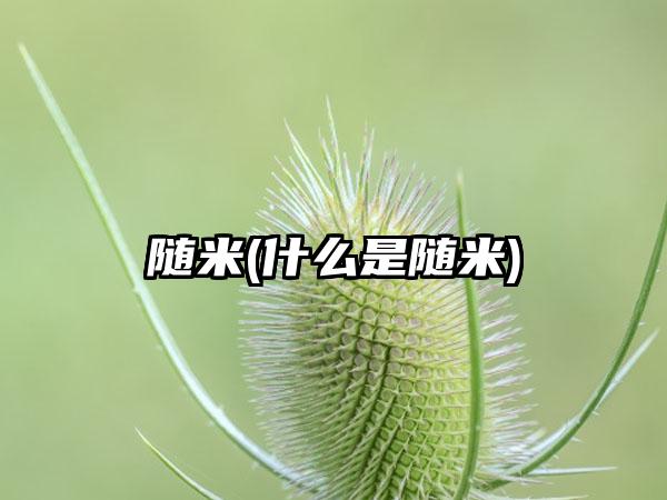 随米(什么是随米)